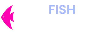Multimedia Artist & Art Director